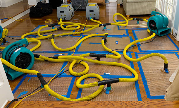 Professional Crawl Space Water Removal technician working in Ocean View, HI